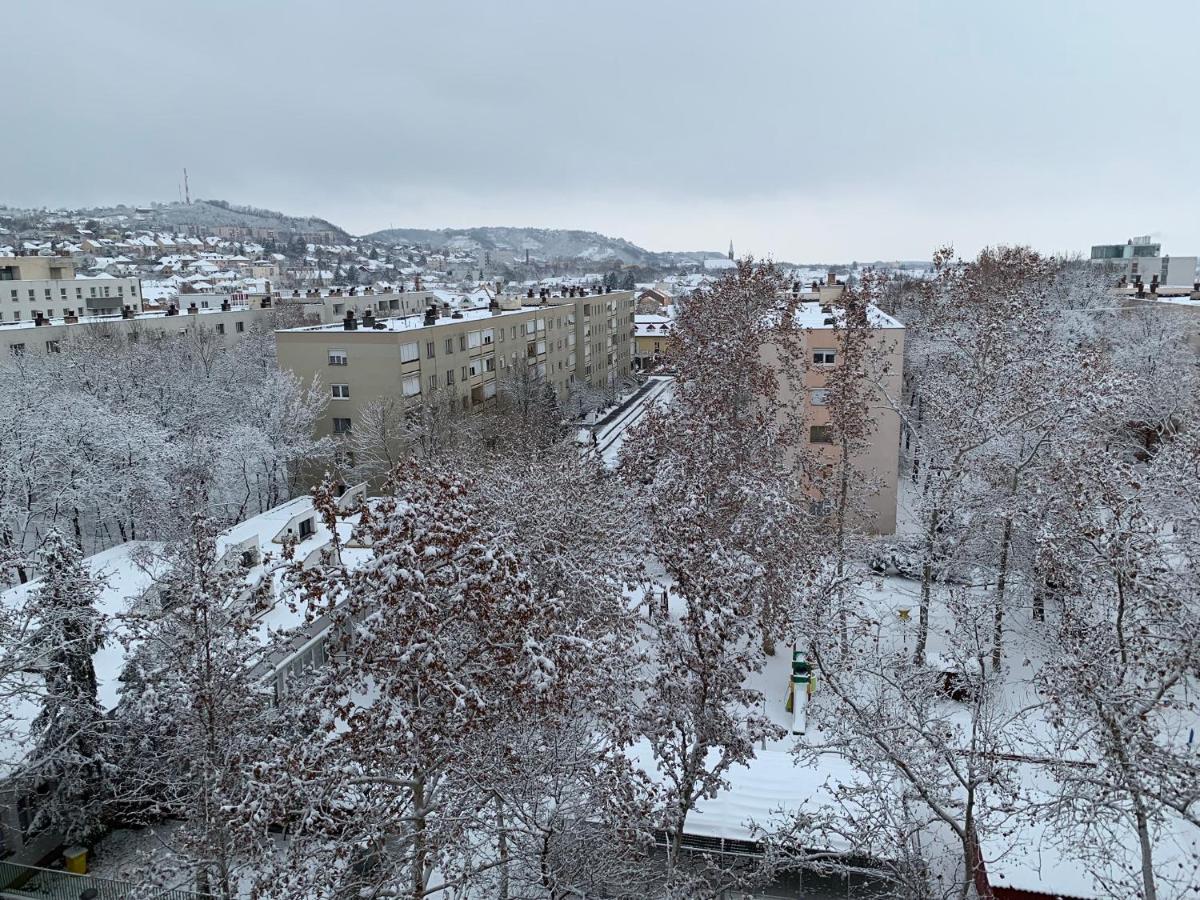 Apartment K1 Panoramic Szekszard